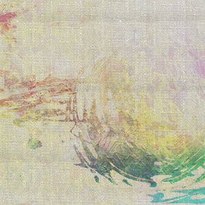 董卿被黑人玩的嗷嗷叫
