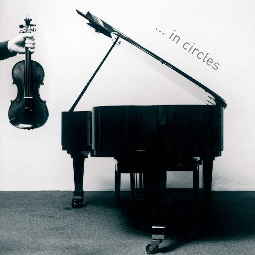 董卿被黑人玩的嗷嗷叫
